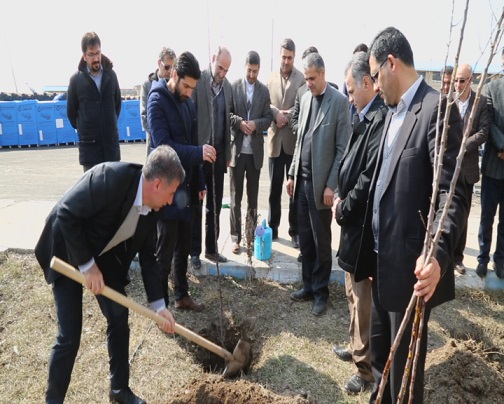 کاشت نهال به یاد 53 شهید منتسب به شرکت گاز استان اردبیل